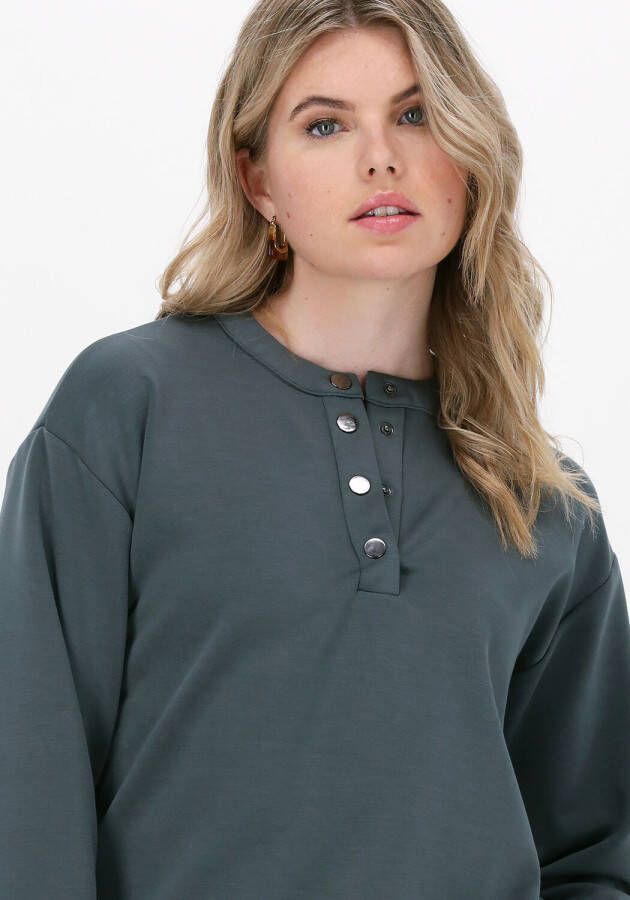 SIMPLE Dames Truien & Vesten Jersey Sweater Selena Scuba Groen