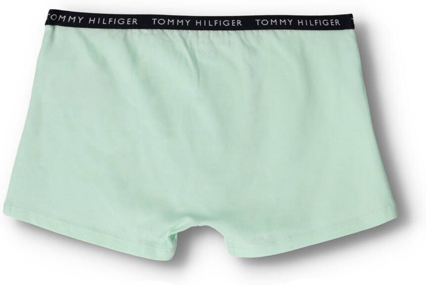 TOMMY HILFIGER UNDERWEAR Tommy Hilfiger Heren Boxershorts 5p Trunk Multi