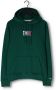 Tommy Jeans Donkergroene Sweater Tjm Reg Essential Graphic Hoodie - Thumbnail 4