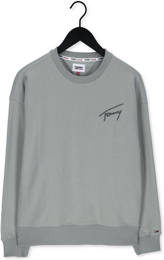 Tommy Jeans Groene Sweater Tjm Tommy Signature Crew