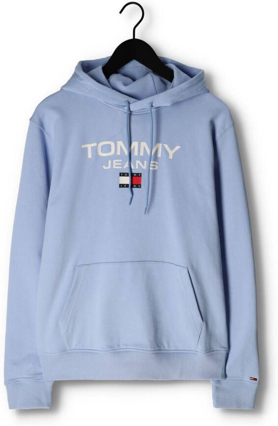 Tommy Jeans Lichtblauwe Trui Tjm Reg Entry Hoodie