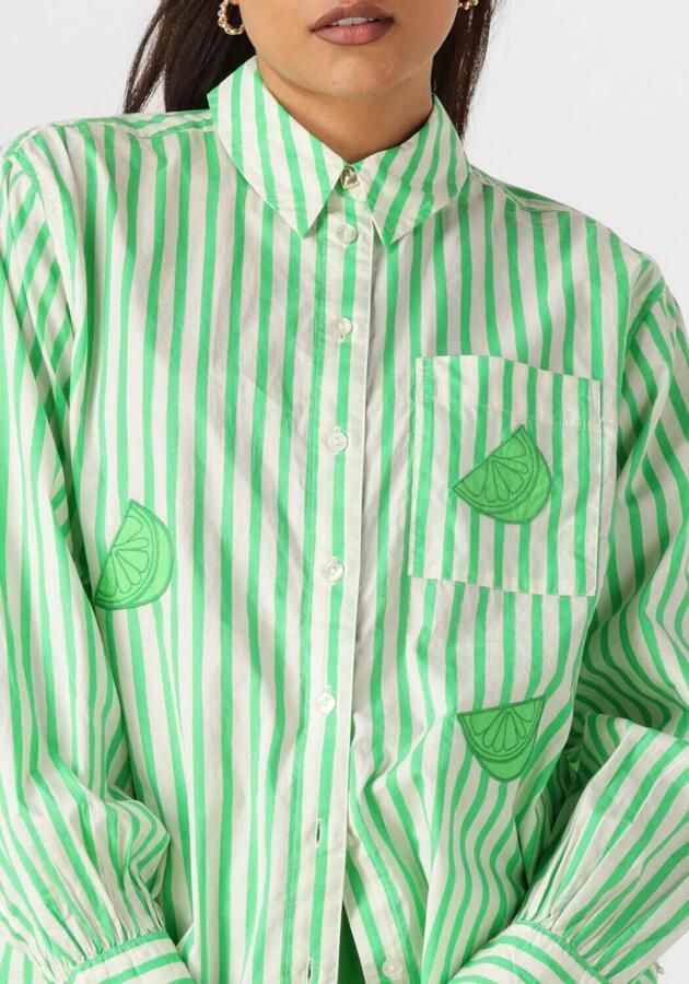 Fabienne Chapot Alex Blouse Lange Mouw Stijlvol Green Dames