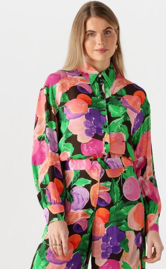 Fabienne Chapot Anouk Blouse Lange Mouw Multicolor Dames - Foto 4