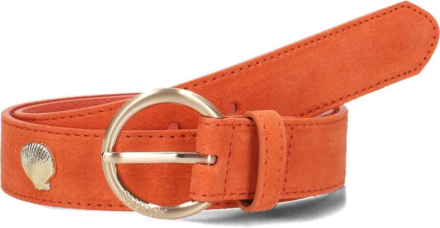 Fabienne Chapot Studded Shell Riem in Oranje Orange Dames - Foto 3