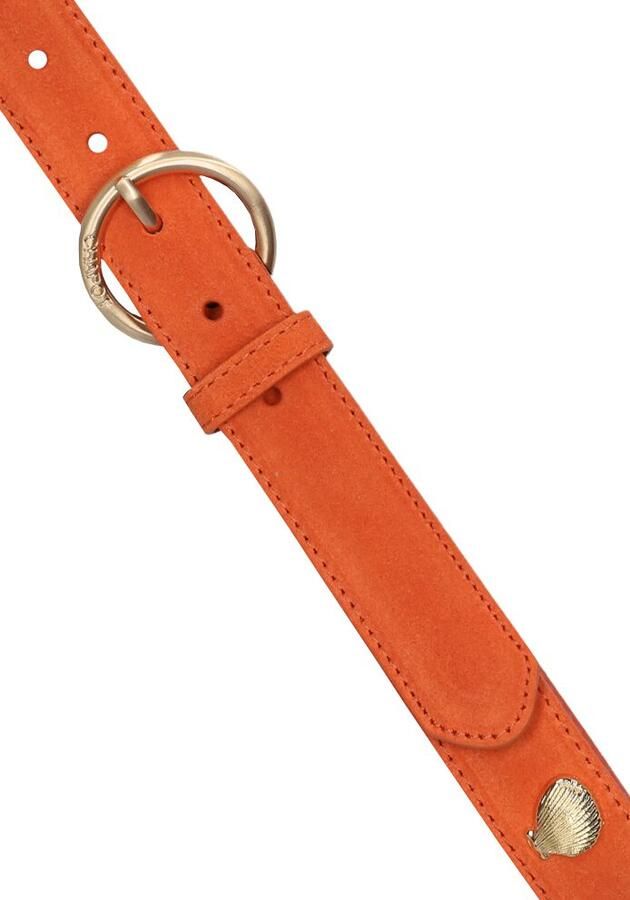 Fabienne Chapot Studded Shell Riem in Oranje Orange Dames