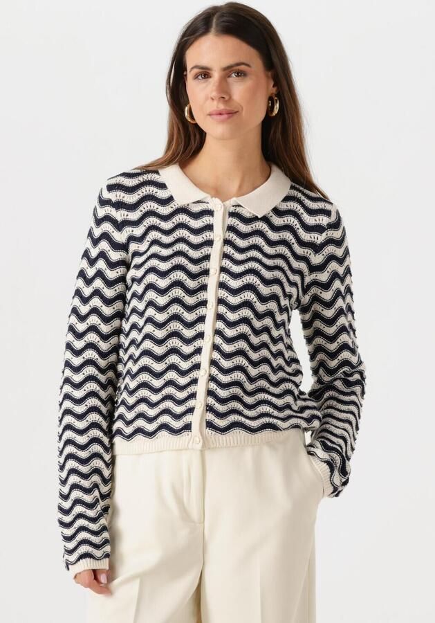 FABIENNE CHAPOT Dames Truien & Vesten Caro Crochet Cardigan Long Sleeve Blauw - Foto 4