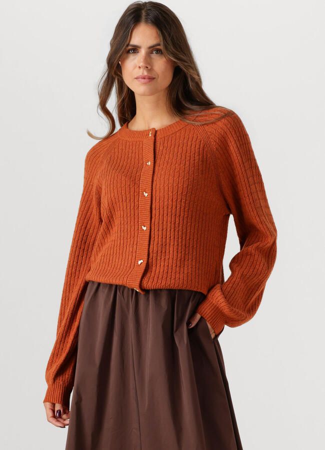FABIENNE CHAPOT Dames Truien & Vesten Charlotta Cardigan Oranje - Foto 4