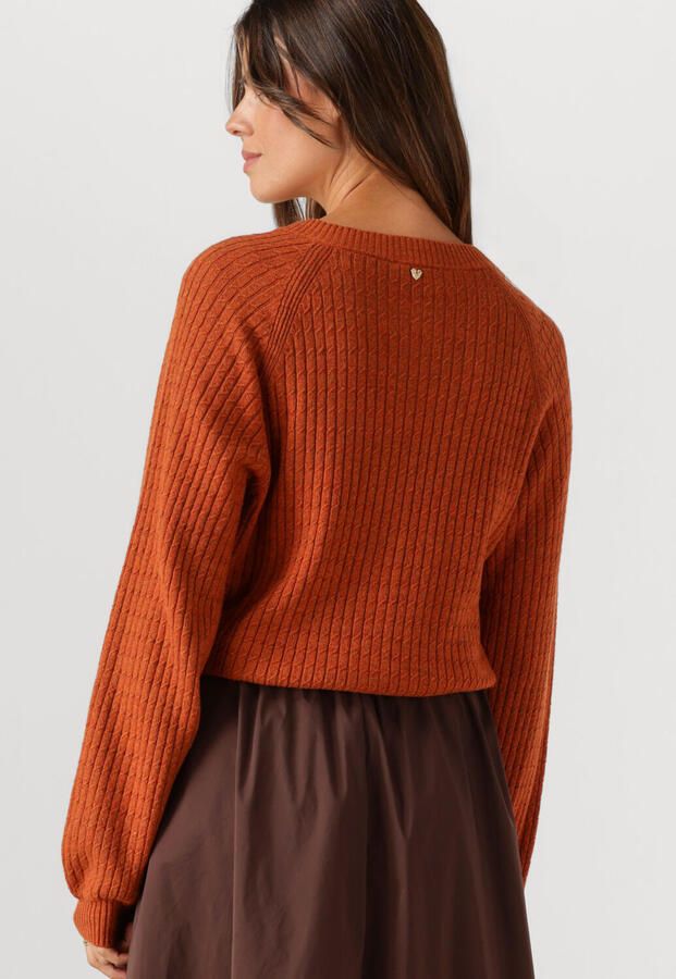 FABIENNE CHAPOT Dames Truien & Vesten Charlotta Cardigan Oranje - Foto 3