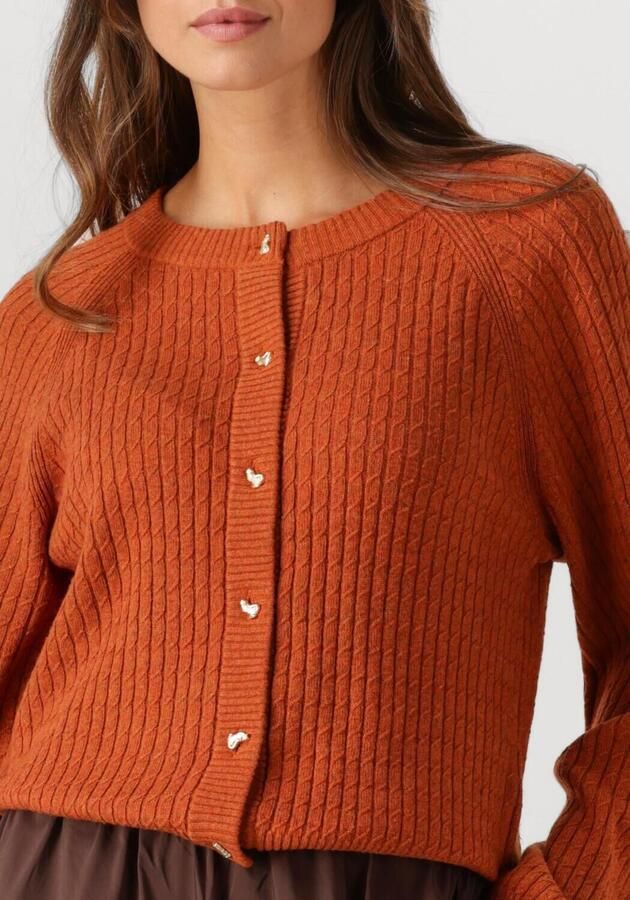 FABIENNE CHAPOT Dames Truien & Vesten Charlotta Cardigan Oranje - Foto 2