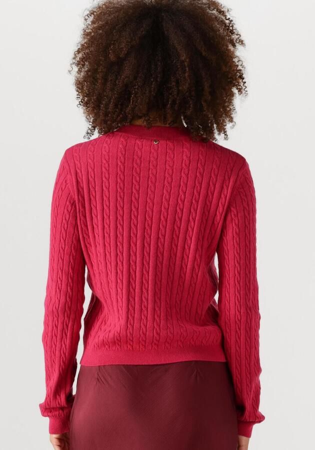 FABIENNE CHAPOT Dames Truien & Vesten Charlotta Pullover Fuchsia - Foto 2