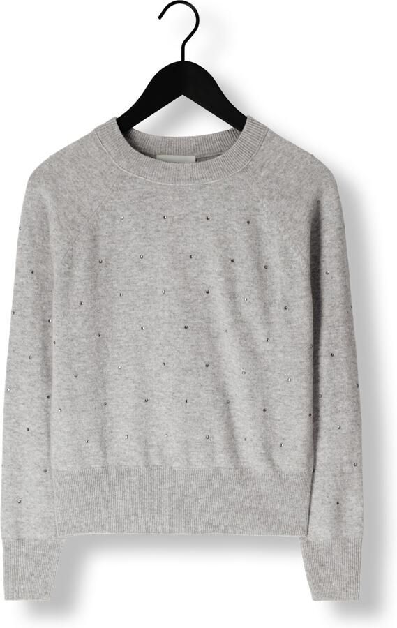 FABIENNE CHAPOT Dames Truien & Vesten Lidi Rhinestone Pullover Grijs - Foto 3