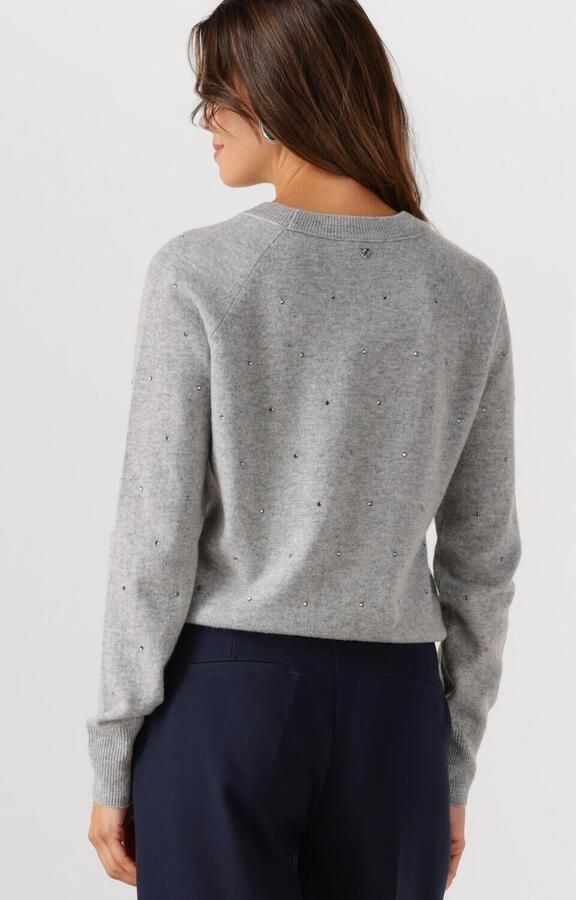 FABIENNE CHAPOT Dames Truien & Vesten Lidi Rhinestone Pullover Grijs - Foto 2