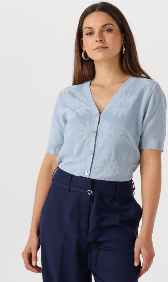 FABIENNE CHAPOT Dames Truien & Vesten Maddy Cardigan Lichtblauw - Foto 4