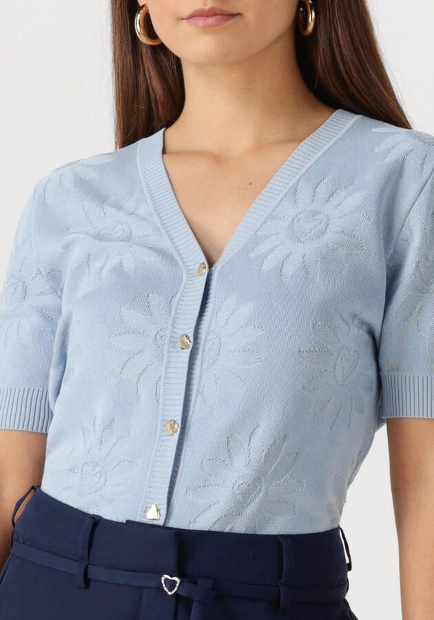 FABIENNE CHAPOT Dames Truien & Vesten Maddy Cardigan Lichtblauw - Foto 2