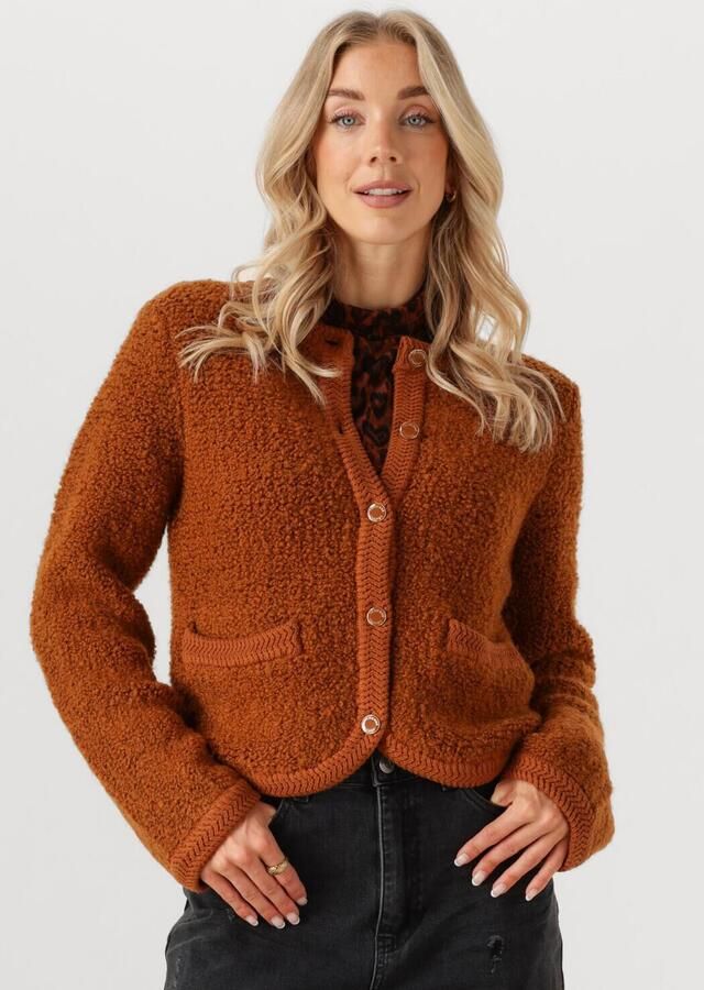 FABIENNE CHAPOT Dames Truien & Vesten Marcia Cardigan 1 Bruin - Foto 4