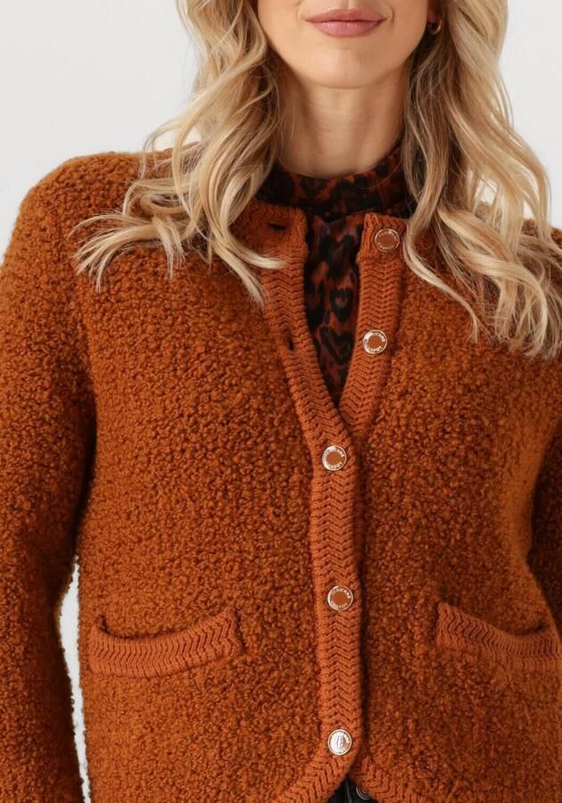 FABIENNE CHAPOT Dames Truien & Vesten Marcia Cardigan 1 Bruin - Foto 2