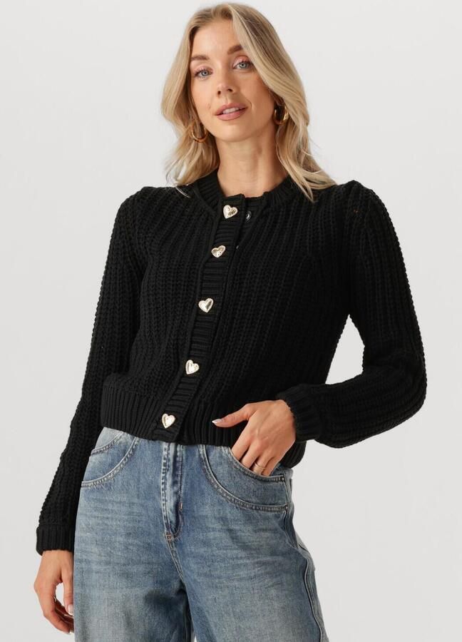 FABIENNE CHAPOT Dames Truien & Vesten Sun Cardigan 1 Zwart - Foto 4