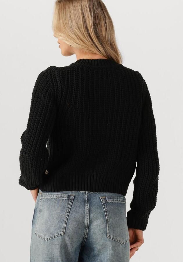 FABIENNE CHAPOT Dames Truien & Vesten Sun Cardigan 1 Zwart