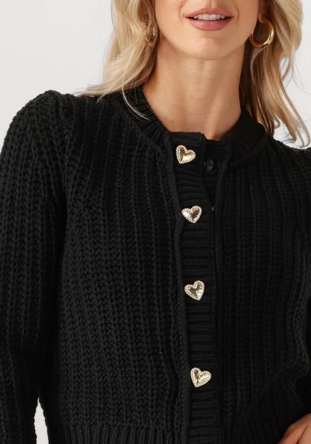 FABIENNE CHAPOT Dames Truien & Vesten Sun Cardigan 1 Zwart - Foto 2