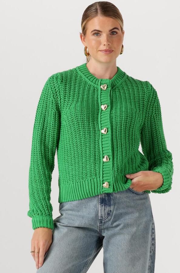 FABIENNE CHAPOT Dames Truien & Vesten Sun Cardigan Groen - Foto 4