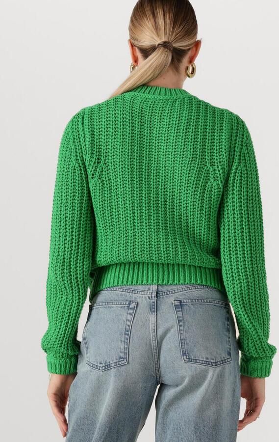 FABIENNE CHAPOT Dames Truien & Vesten Sun Cardigan Groen - Foto 2