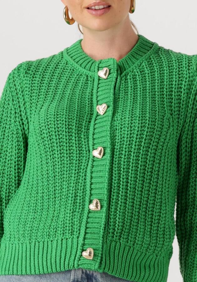 FABIENNE CHAPOT Dames Truien & Vesten Sun Cardigan Groen
