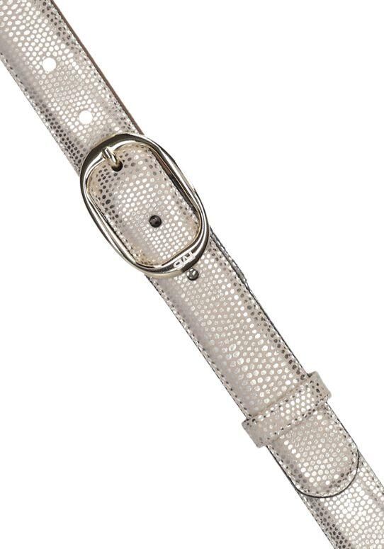 FLORIS VAN BOMMEL Dames Riemen Cfw-10015 De Belter Goudkleurig - Foto 2