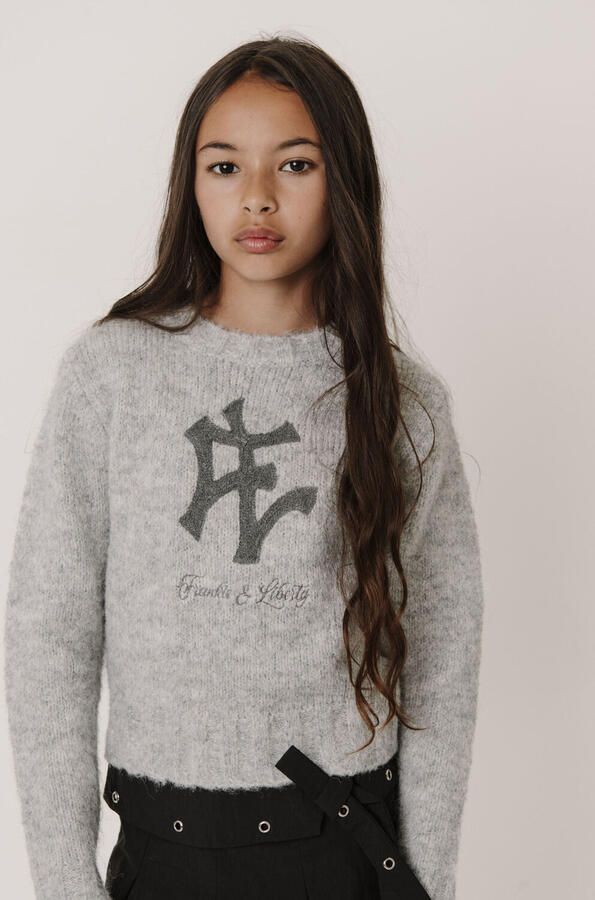 FRANKIE & LIBERTY Meisjes Truien & Vesten Toyah Ny Sweater Lichtgrijs - Foto 2