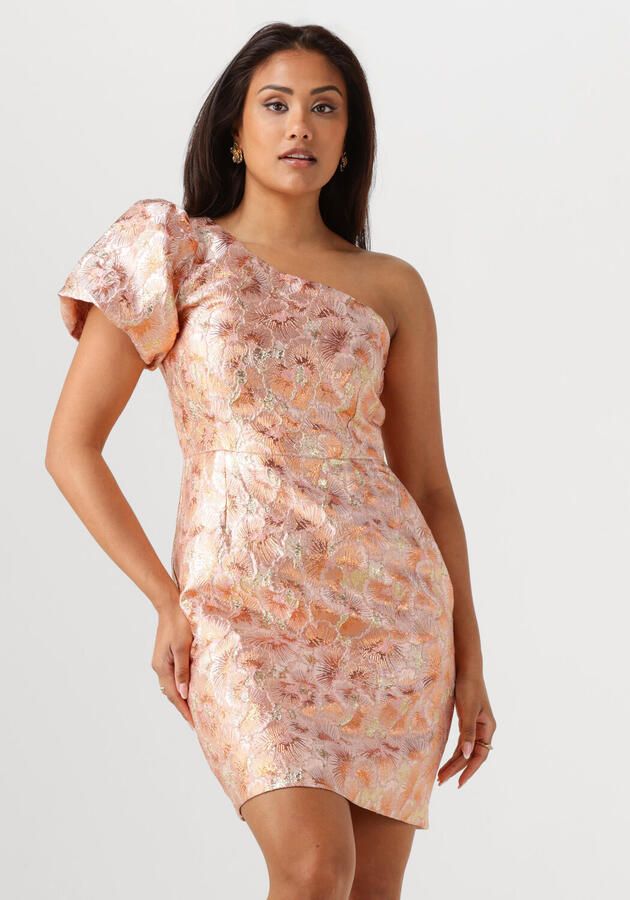 FREEBIRD Dames Jurken Dania Roze - Foto 4