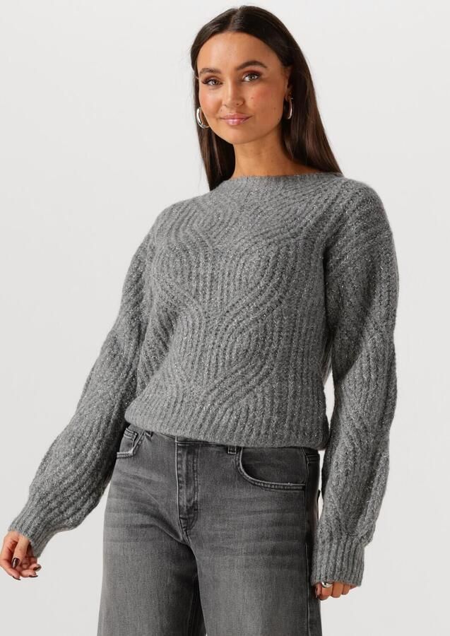 FREEBIRD Dames Truien & Vesten Kathleen Grijs - Foto 4