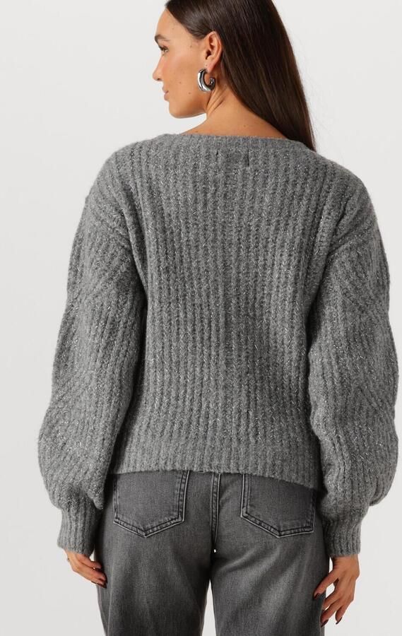 FREEBIRD Dames Truien & Vesten Kathleen Grijs - Foto 3