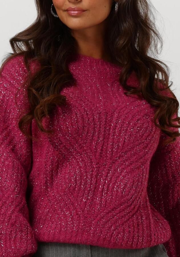 FREEBIRD Dames Truien & Vesten Kathleen Roze