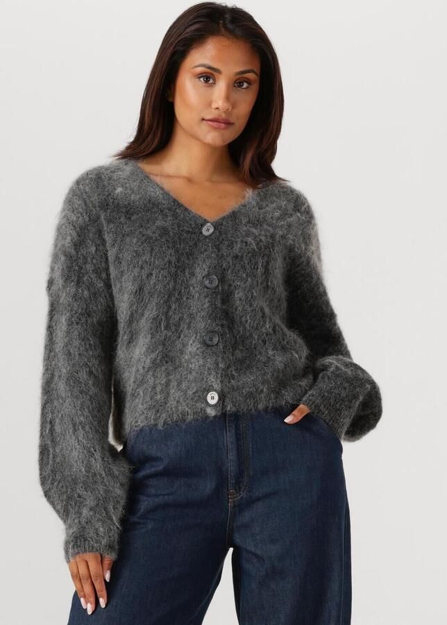 GESTUZ Dames Truien & Vesten Gzdebbie Cardigan Grijs - Foto 4