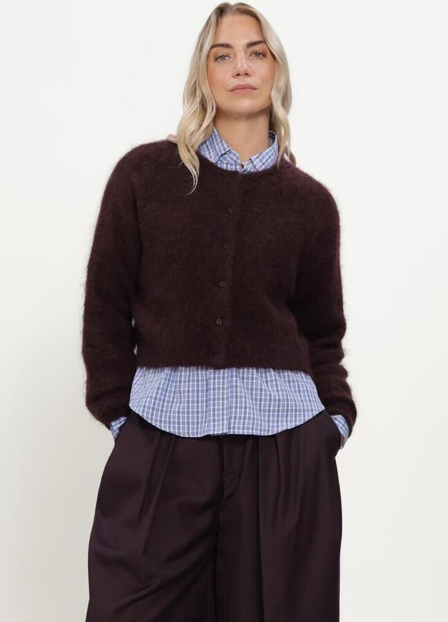 GESTUZ Dames Truien & Vesten Gzdebbie Short Cardigan Bruin