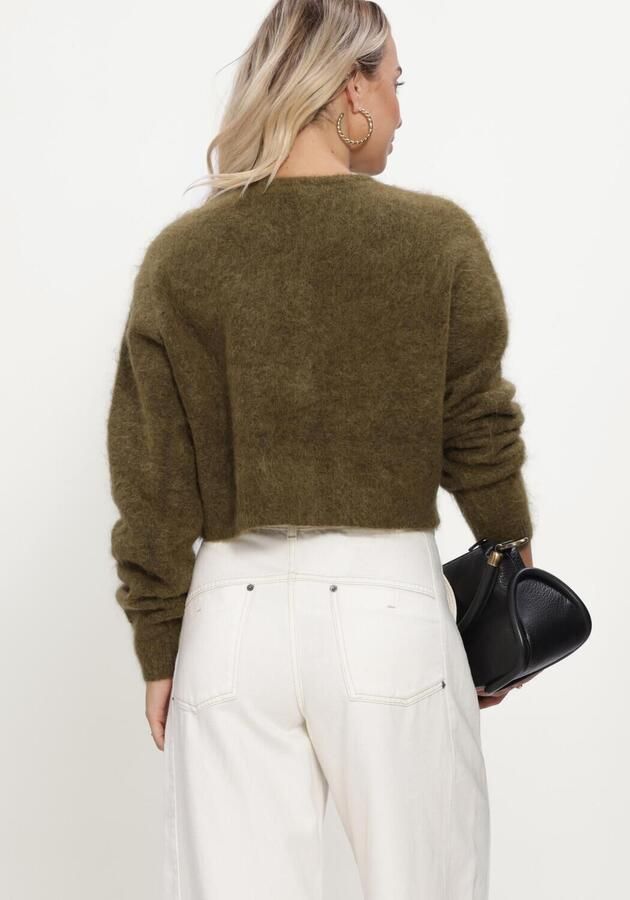 GESTUZ Dames Truien & Vesten Gzdebbie Short Cardigan Groen - Foto 4