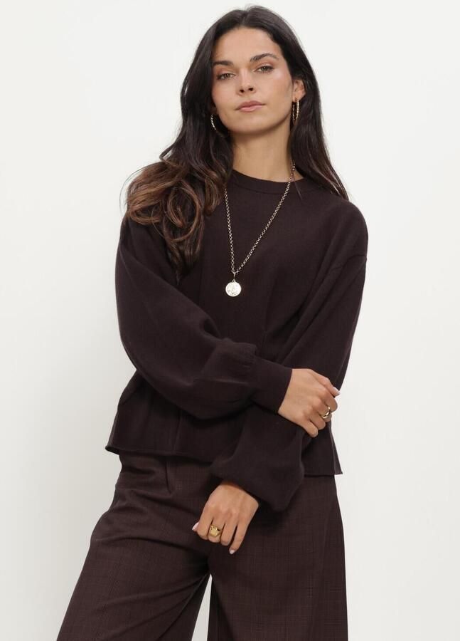 GESTUZ Dames Truien & Vesten Gzmanzi Waist Pullover Bruin