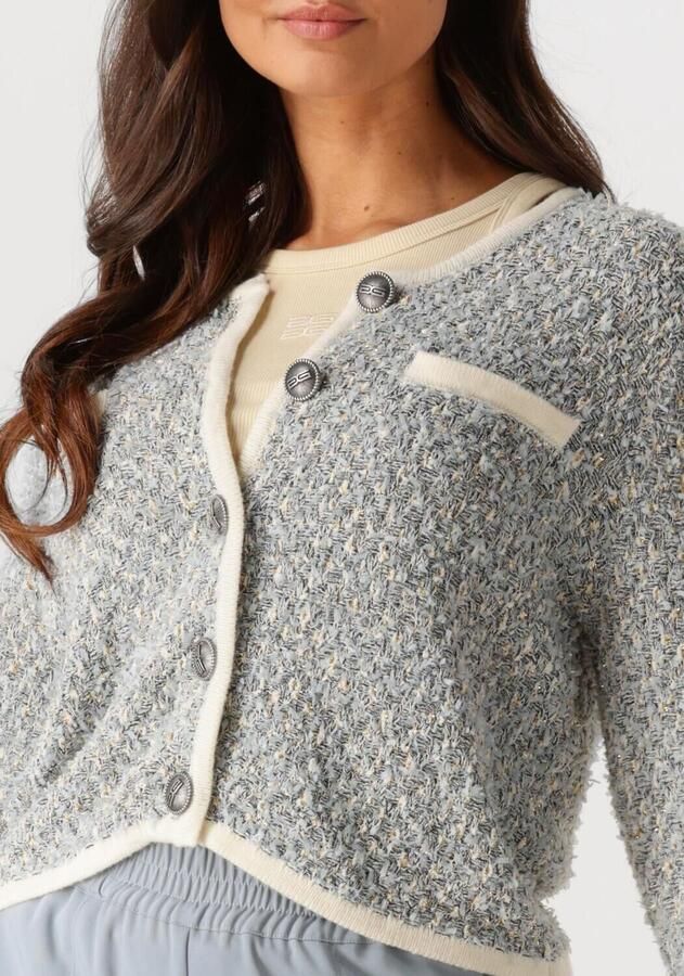 GESTUZ Dames Truien & Vesten Gznalin Cardigan Blauw