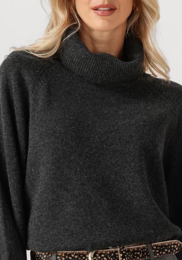 GESTUZ Dames Truien & Vesten Manzigz Wool Rollneck Donkergrijs
