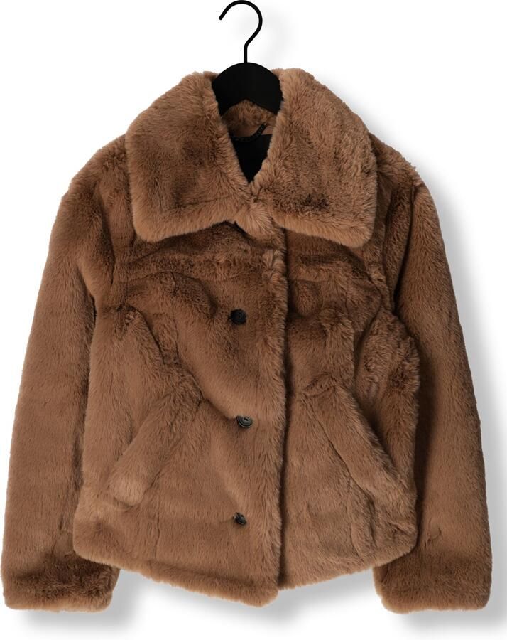 GIACOMO THE JACKET Dames Jassen 6510943 Camel