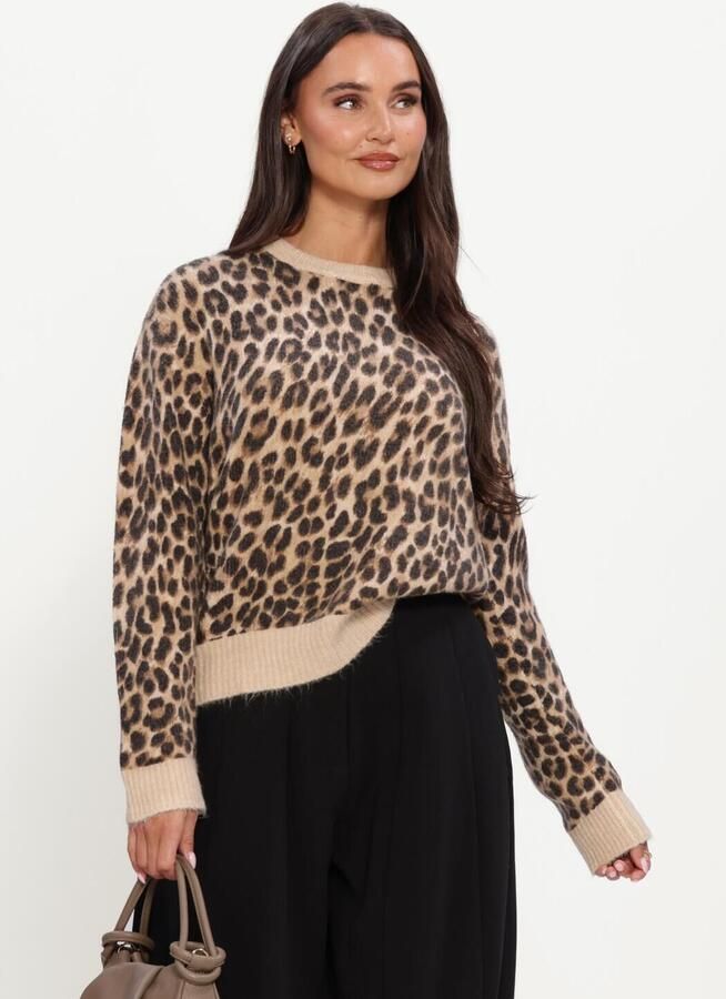 GRACE & MILA Dames Truien & Vesten Pullover Beige