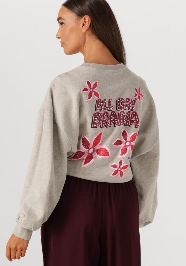 HARPER & YVE Dames Truien & Vesten Alldaydrama-sw Grijs - Foto 2