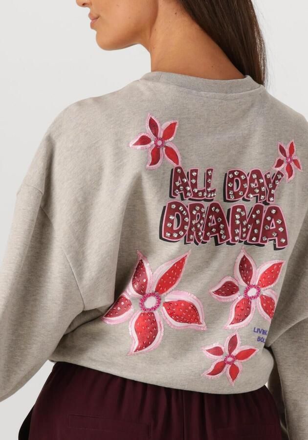 HARPER & YVE Dames Truien & Vesten Alldaydrama-sw Grijs - Foto 3