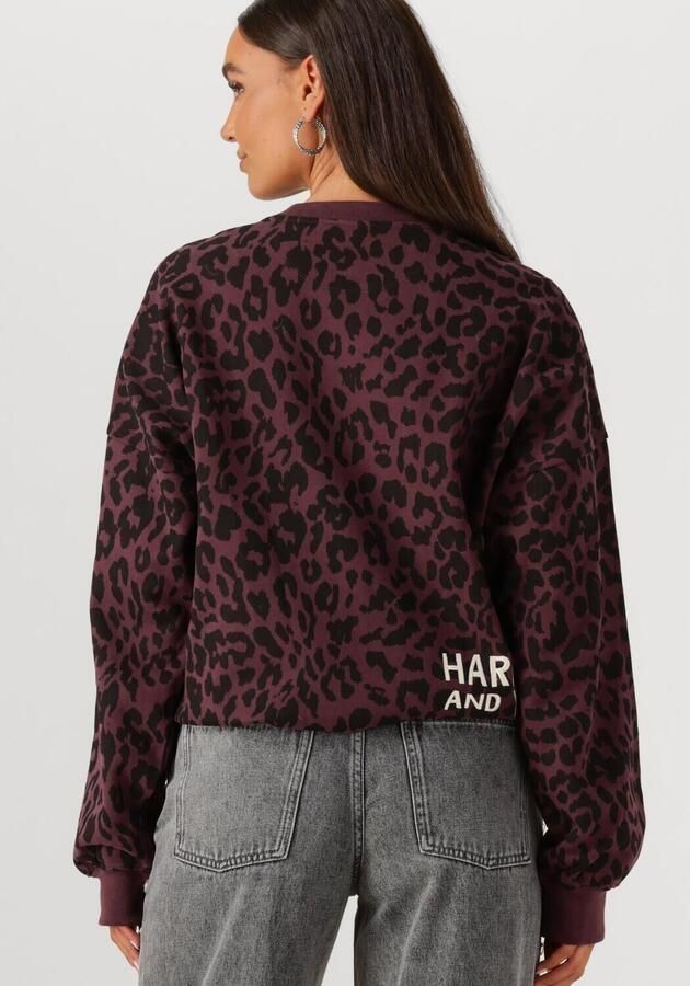 HARPER & YVE Dames Truien & Vesten Leopard-sw Paars
