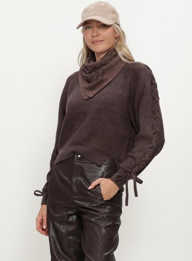 HAUTE L'AMITIÉ Haute L'Amitié Dames Truien & Vesten Duke Tie Knit Bruin