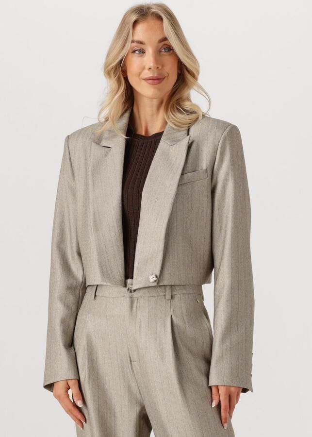 IBANA Dames Blazers Jelah Pinestripe Taupe