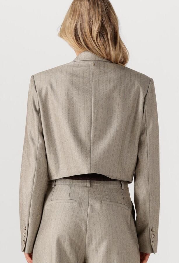 IBANA Dames Blazers Jelah Pinestripe Taupe - Foto 4