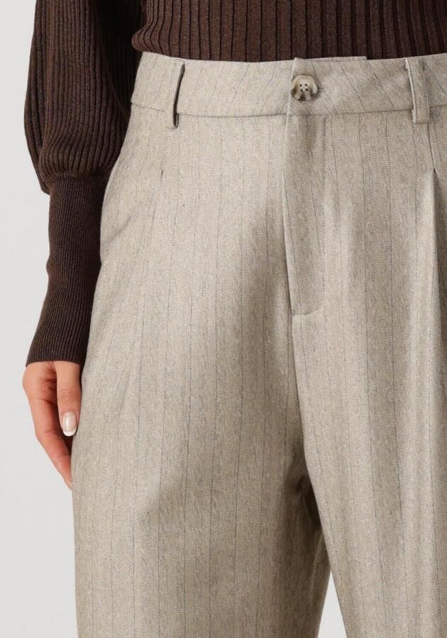 IBANA Dames Broeken Pelah Pinestripe Taupe - Foto 2
