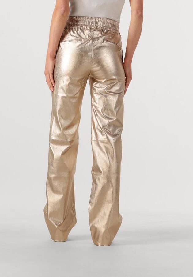 IBANA Dames Broeken Phela Metallic