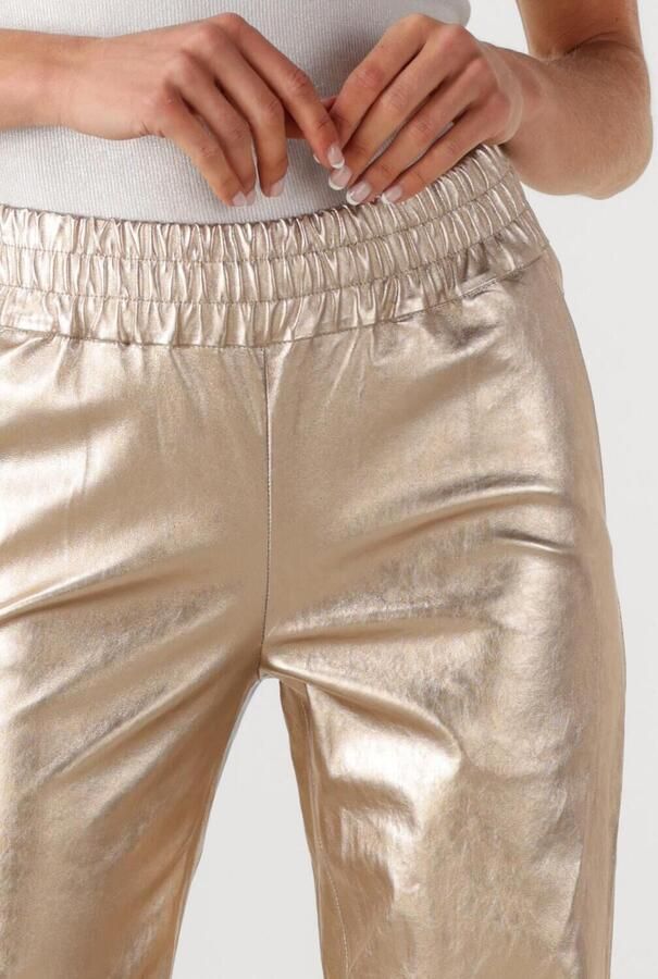 IBANA Dames Broeken Phela Metallic - Foto 2