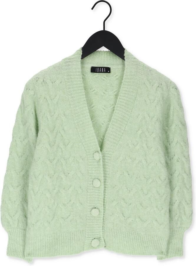 IBANA Dames Truien & Vesten Cira Groen